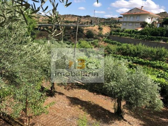 Terreno venda em Torre De Moncorvo, Bragança