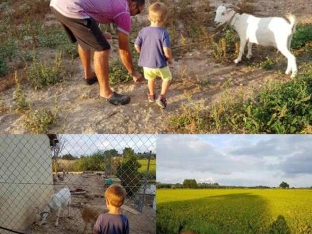 Casa en alquiler en Montsià, Catalunya