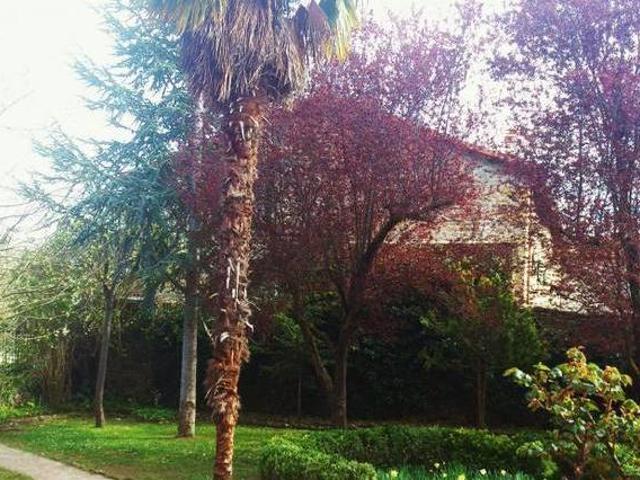 Casa en alquiler en Merindad De Montija, Castilla y León