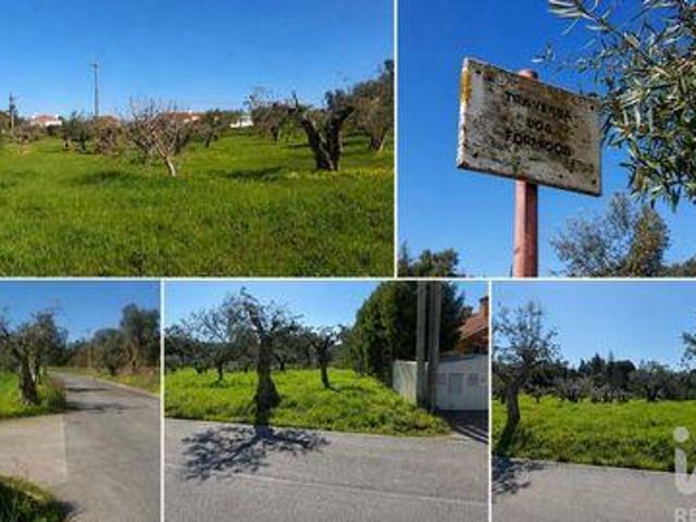 Terreno venda em Urbanização Casal Vaz, Torres Novas