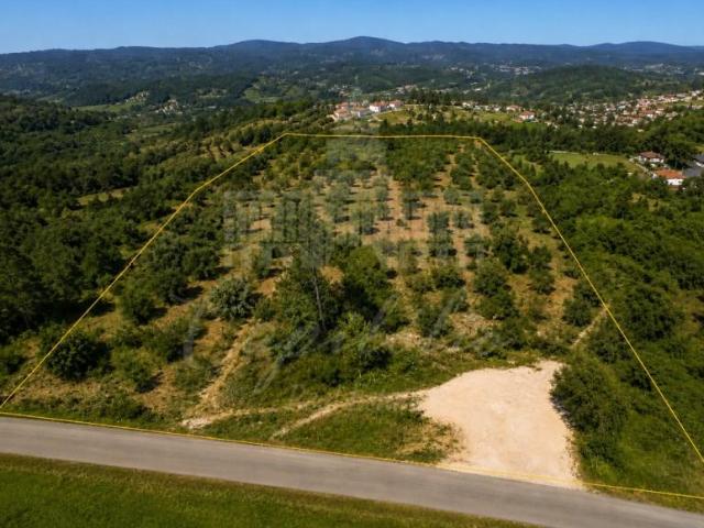 Terreno venda em Torres Novas, Santarém