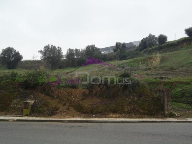 Terreno venda em Torres Novas, Santarém
