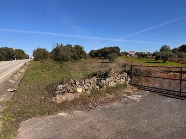 Terreno venda em Parceiros de São João, Torres Novas