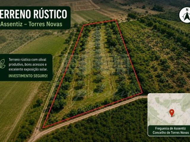 Terreno venda em Torres Novas, Santarém