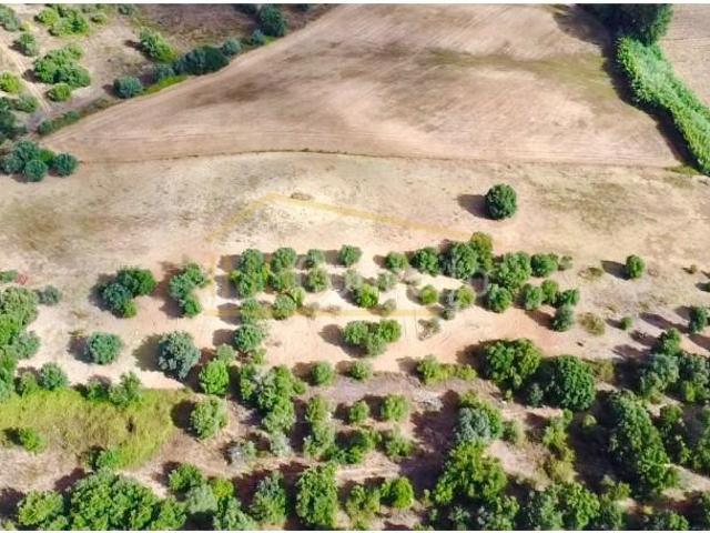 Terreno venda em Casal Cepo, Torres Novas