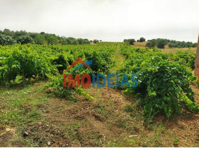 Terreno venda em Torres Novas, Santarém