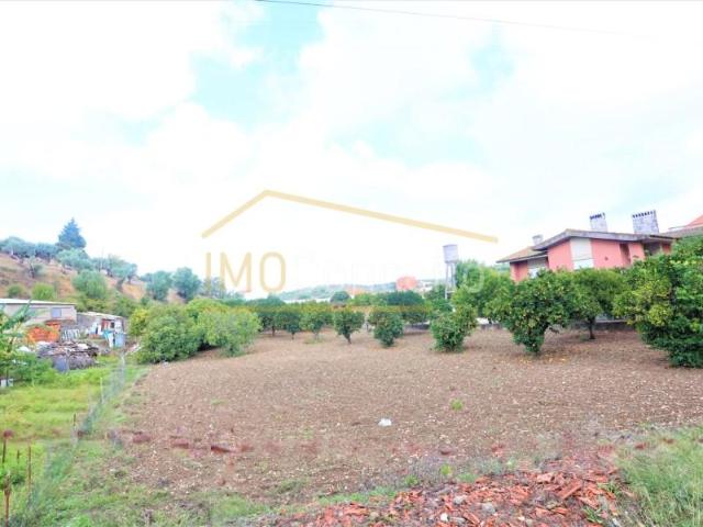 Terreno venda em Torres Novas, Santarém