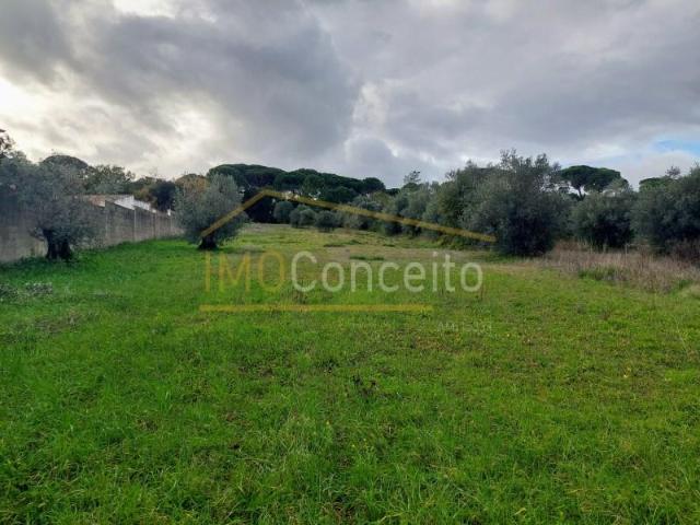 Terreno venda em Olaia e Paço, Torres Novas