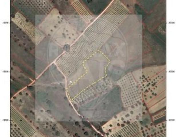 Terreno venda em Torres Novas, Santarém