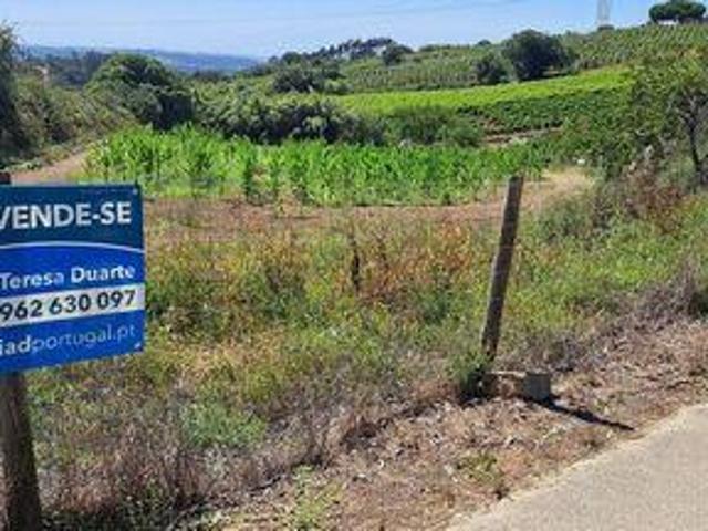 Terreno venda em Aldeia Grande, Torres Vedras
