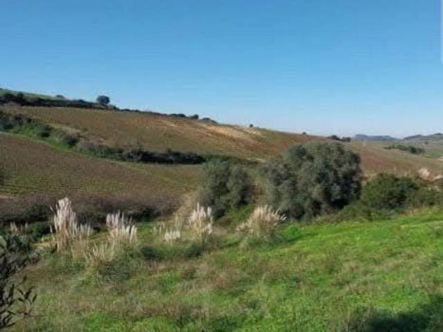 Terreno venda em Semineira, Torres Vedras