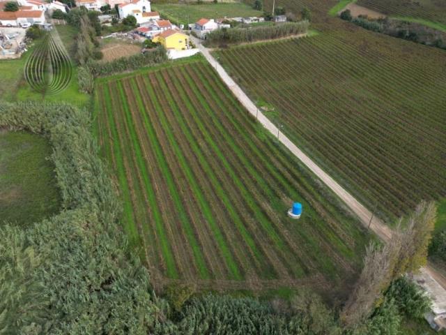 Terreno venda em Varatojo, Torres Vedras