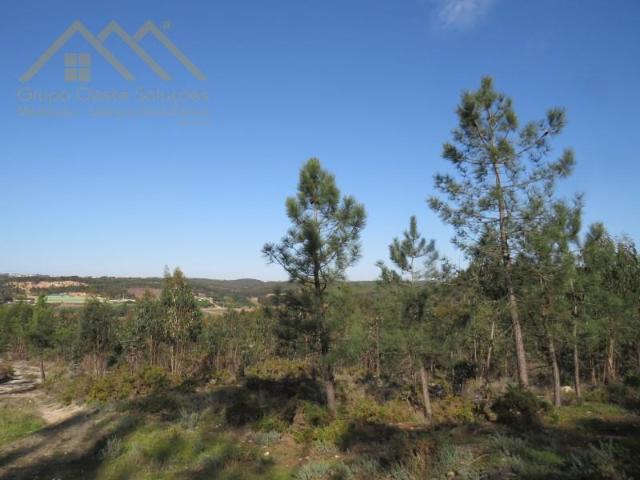 Terreno venda em Varatojo, Torres Vedras