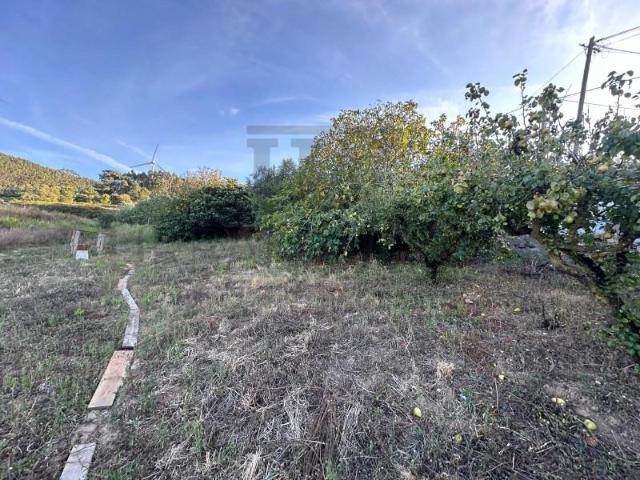 Terreno venda em Poços, Torres Vedras
