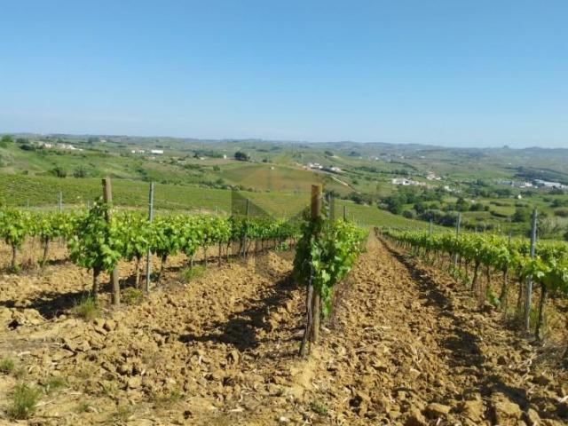 Terreno venda em Varatojo, Torres Vedras