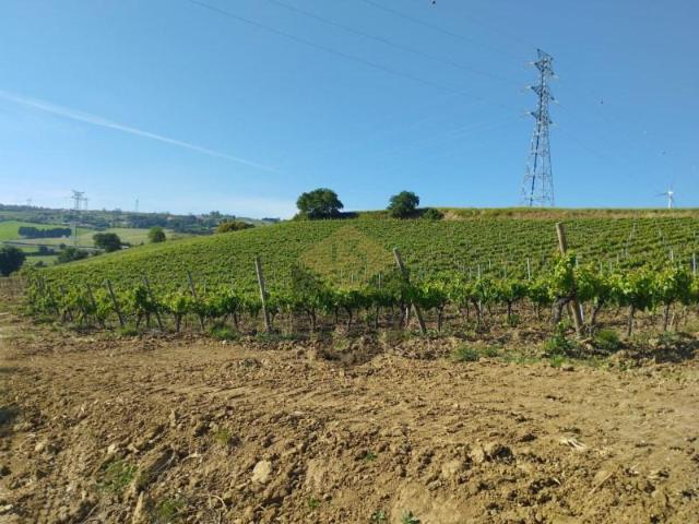 Terreno venda em Varatojo, Torres Vedras