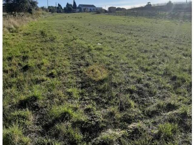 Terreno venda em Varatojo, Torres Vedras