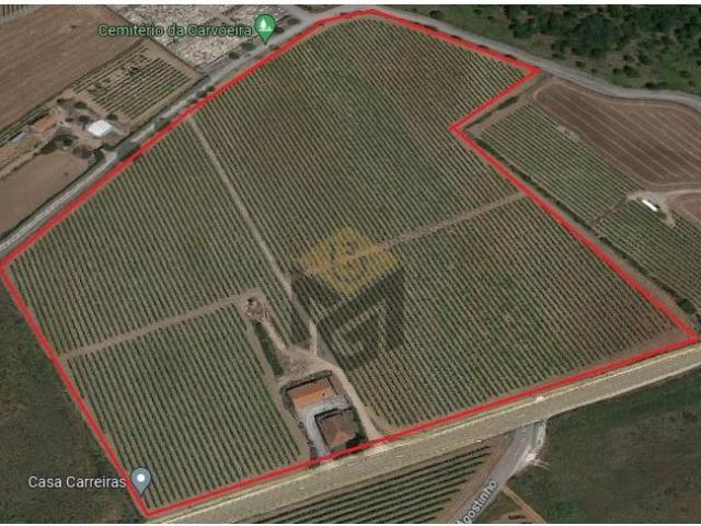 Terreno venda em Varatojo, Torres Vedras