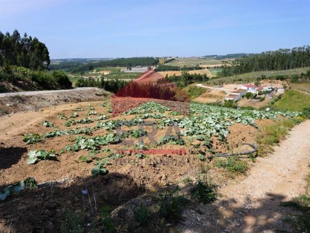 Terreno venda em Torres Vedras, Lisboa