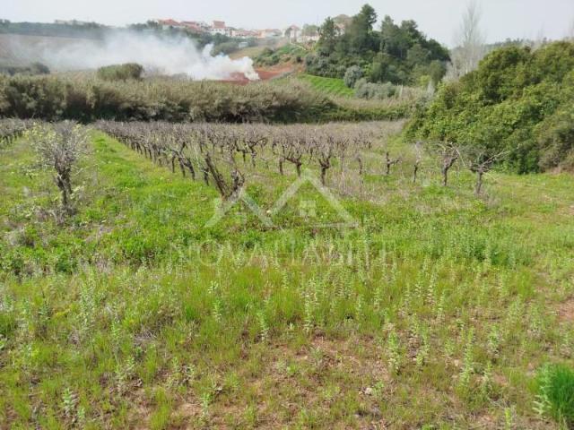 Terreno venda em Varatojo, Torres Vedras