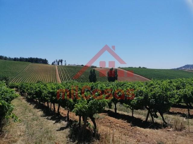 Terreno venda em Torres Vedras, Lisboa