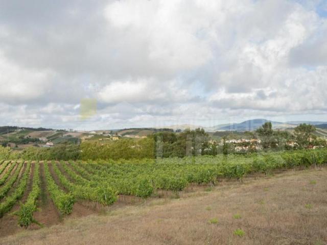 Terreno venda em Varatojo, Torres Vedras