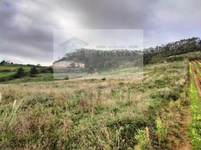 Terreno venda em Varatojo, Torres Vedras