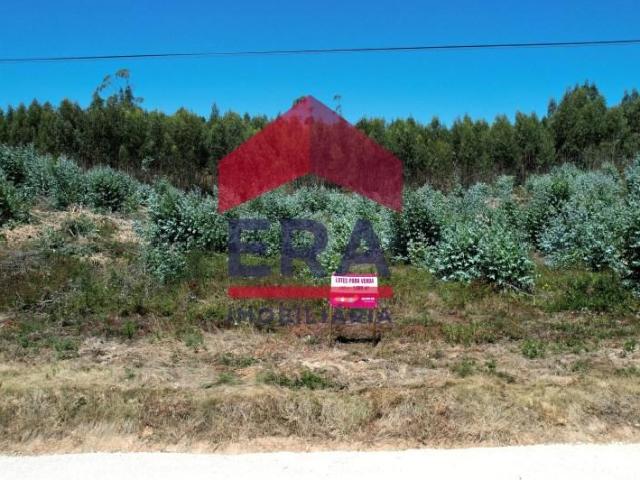 Terreno venda em Olho Polido, Torres Vedras