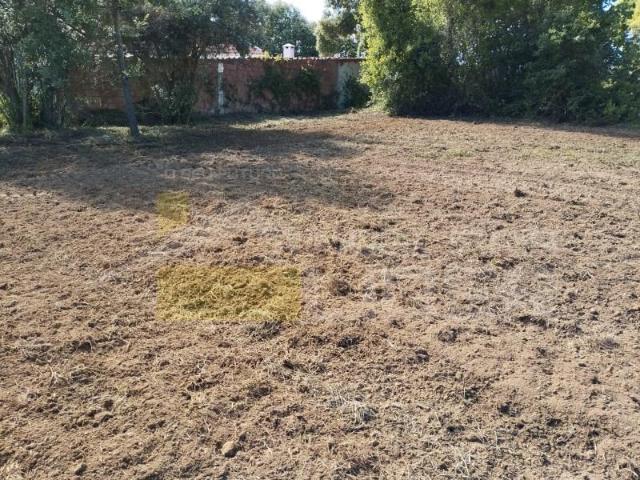 Terreno venda em Varatojo, Torres Vedras