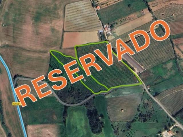 Terreno venda em Varatojo, Torres Vedras