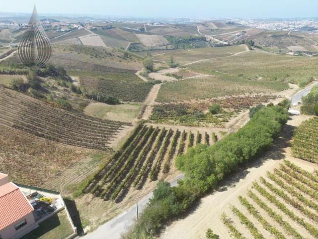 Terreno venda em Varatojo, Torres Vedras