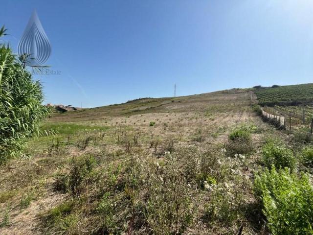 Terreno venda em Varatojo, Torres Vedras