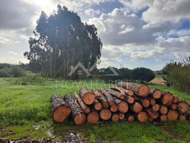 Terreno venda em Varatojo, Torres Vedras