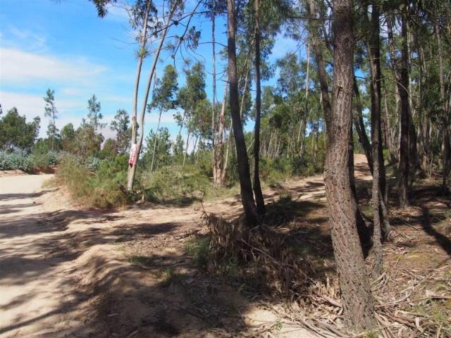 Terreno venda em Varatojo, Torres Vedras