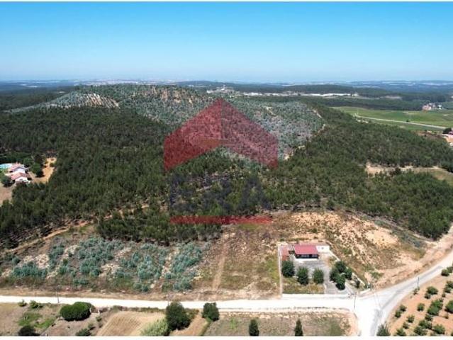 Terreno venda em Torres Vedras, Lisboa