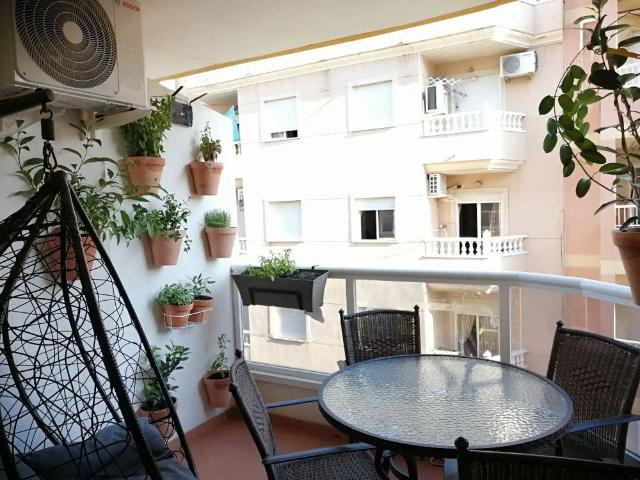 Apartamento en alquiler en el Baix Segura / La Vega Baja, Valencia