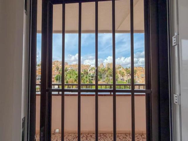 Apartamento en alquiler en Residencial Miramar V, Torrevieja