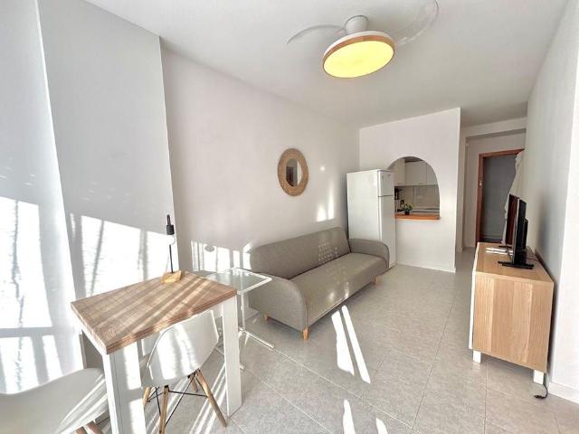 Apartamento en alquiler en Cabo Cervera-Playa la Mata, el Baix Segura / La Vega Baja
