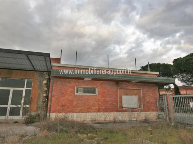 Locale Commerciale in vendita a Torrita, Toscana