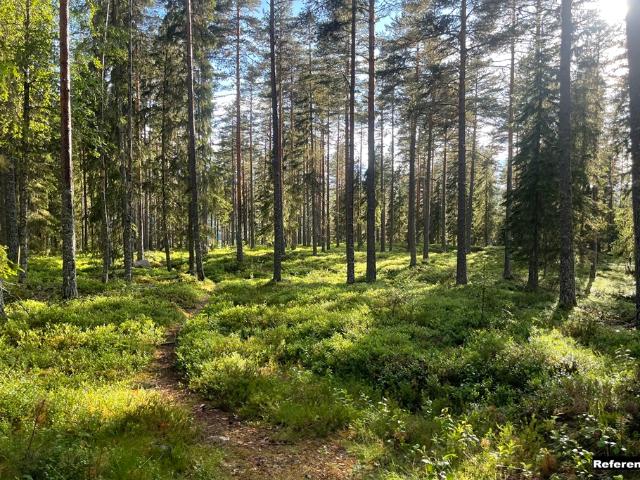 Gård till salu i Ambjörby, Värmlands län
