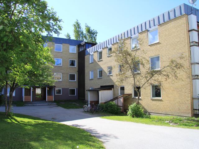 Lägenhet hyra i Örnsköldsvik, Västernorrland