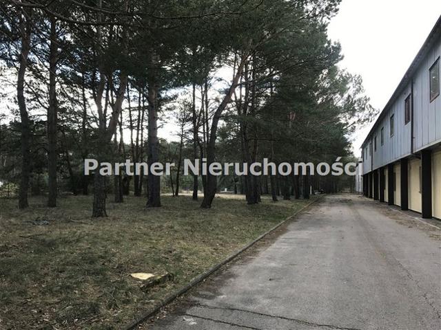 Komercyjne na sprzedaż w Toruń, Kujawsko-pomorskie