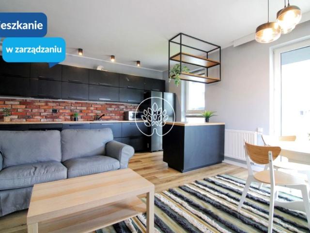 Mieszkanie do wynajęcia w Bydgoszcz, Kujawsko-pomorskie
