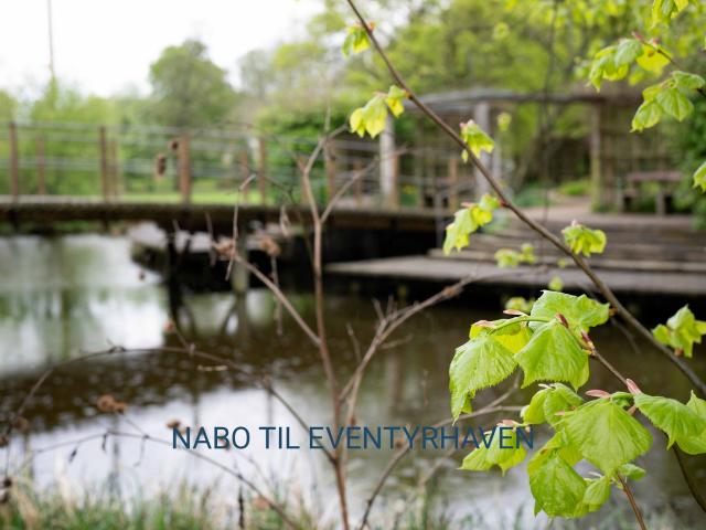 Hus til leje i Odense