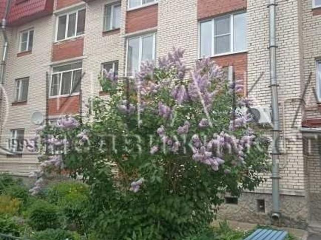 Квартира продажа в Ленинградская область