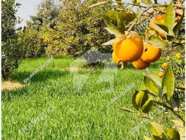 Land for sale in خانپور, بہاولپور ڈویژن