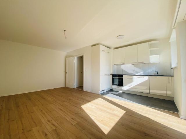 Wohnung mieten in Olten, Solothurn