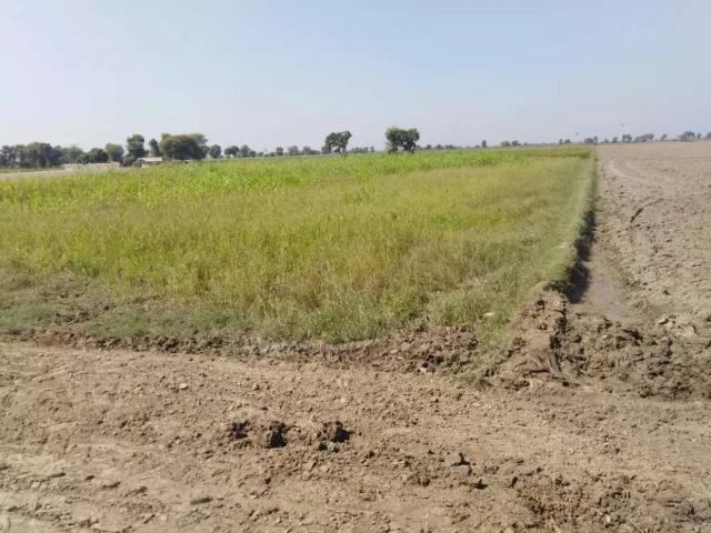 Land for sale in Pak Pattan, Islamabad Capital Territory