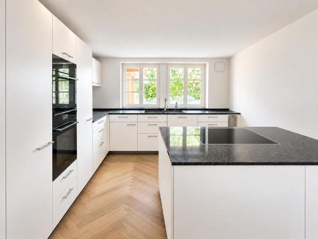 Apartment mieten in Altstadt, Luzern