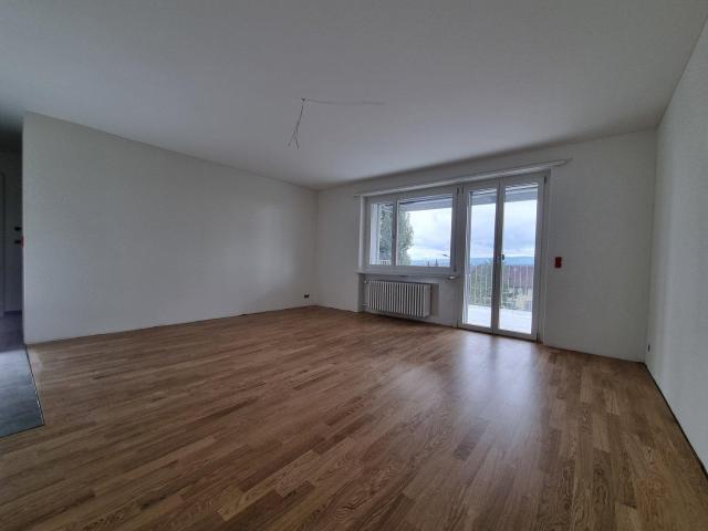 Immobilie kaufen in Affoltern am Albis, Zürich